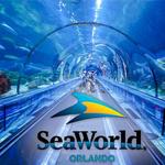 SeaWorld Orlando