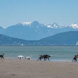 Spanish Banks Beach