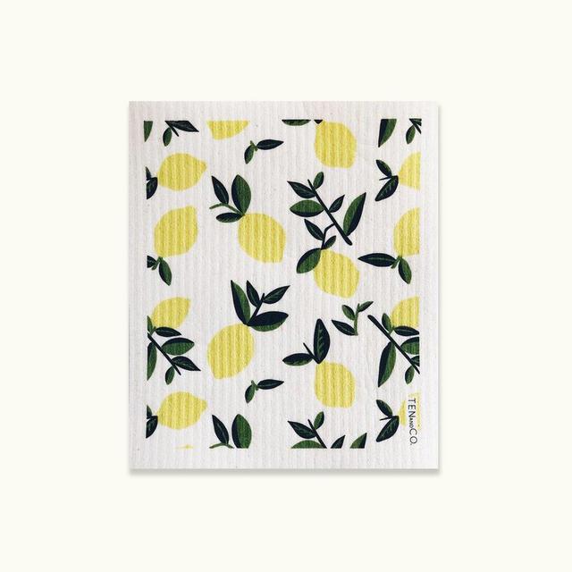 Sponge Cloth