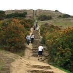 Baldwin Hills Scenic Overlook