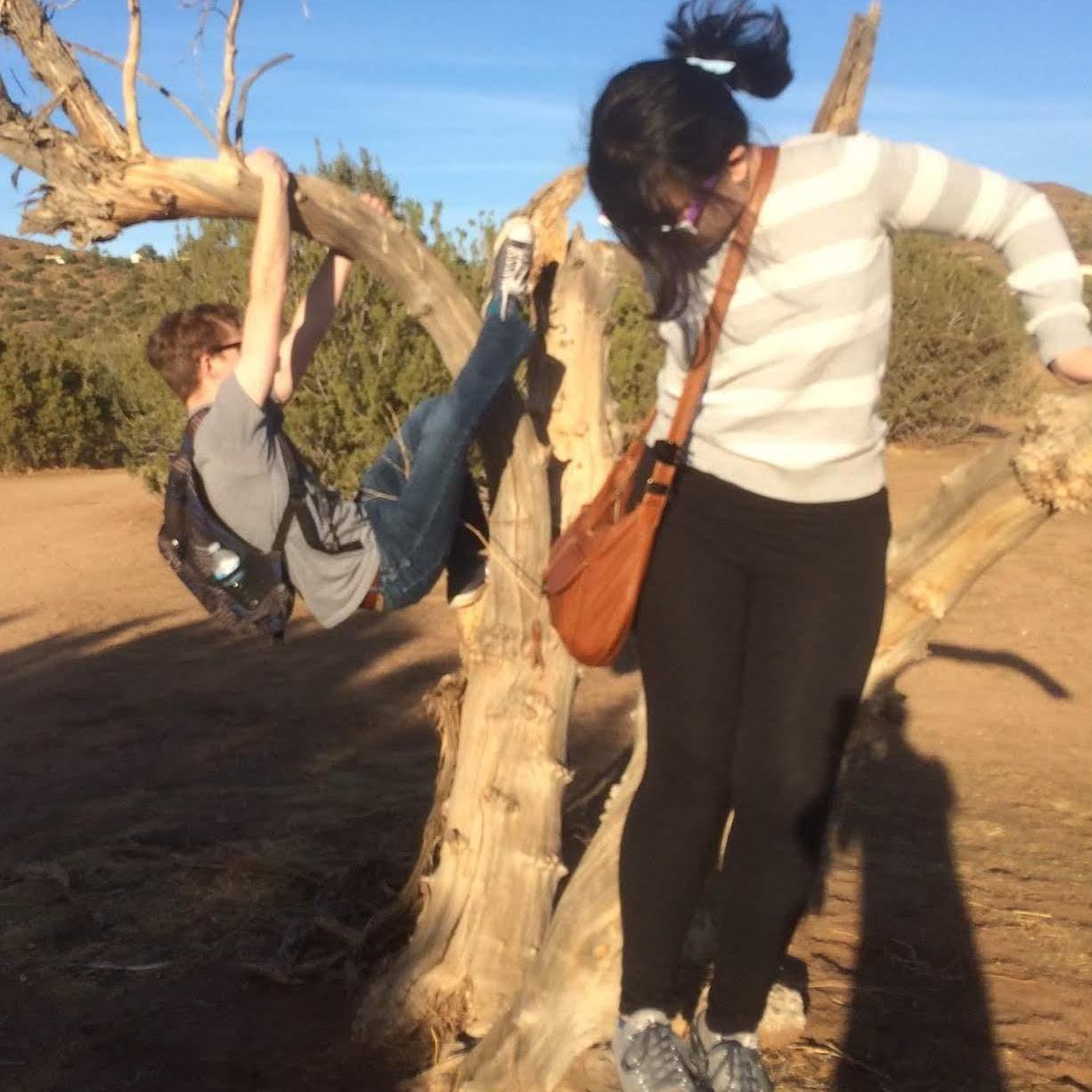 January 2018: nerds in the wild