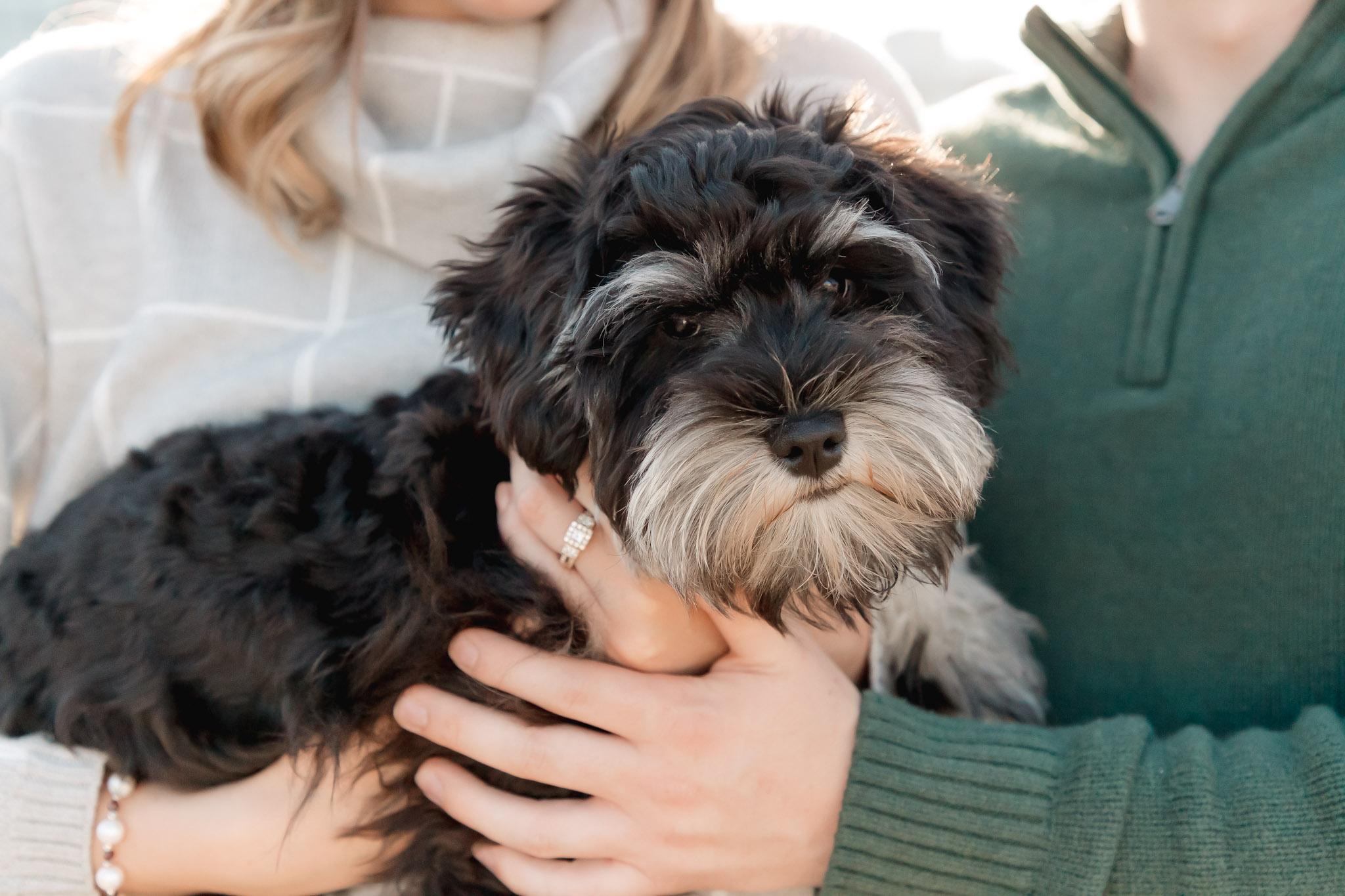 The Wedding Website of Mara Grant and Dylan Ulesich