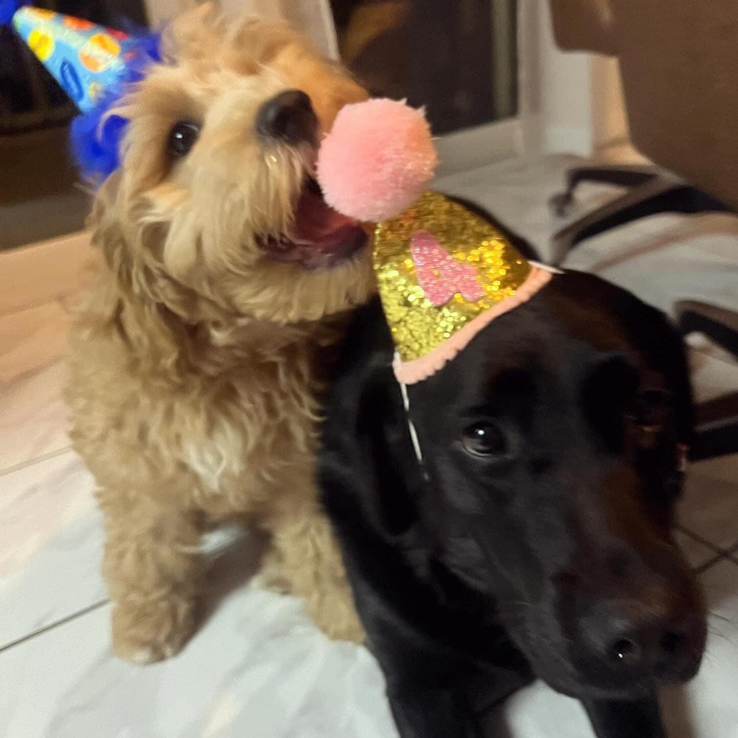 Charlie and Lola on Lola’s 4th B-Day | April 2024