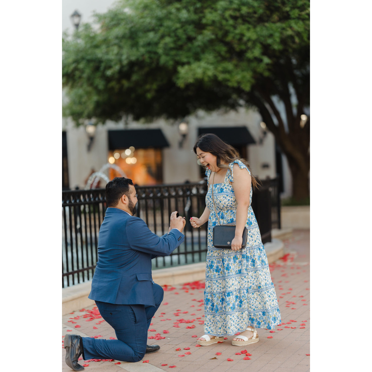The proposal