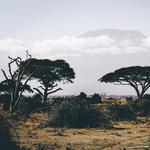 Plettenberg Bay Game Reserve