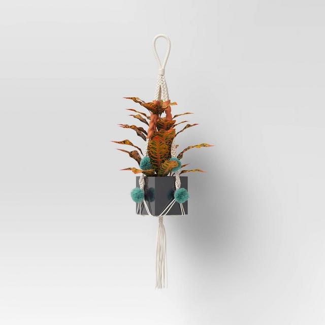 Large Handmade Novelty Macrame Plant Hanger with Poms Cream - Opalhouse™