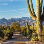 Saguaro National Park Tucson Mountain District (West) Visitor Center