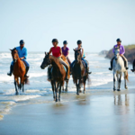 Seabrook Island Equestrian Center