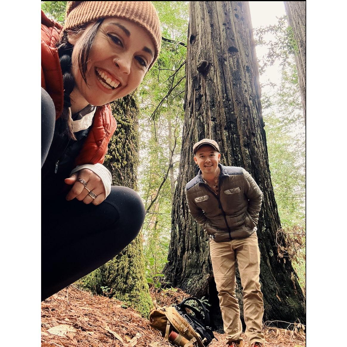 This is where Nicholas' proposed! At our tree in the Redwoods!