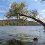 Rockland Recreation Area