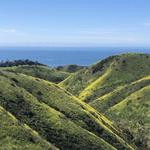 Solstice Canyon Loop