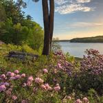 Maudslay State Park
