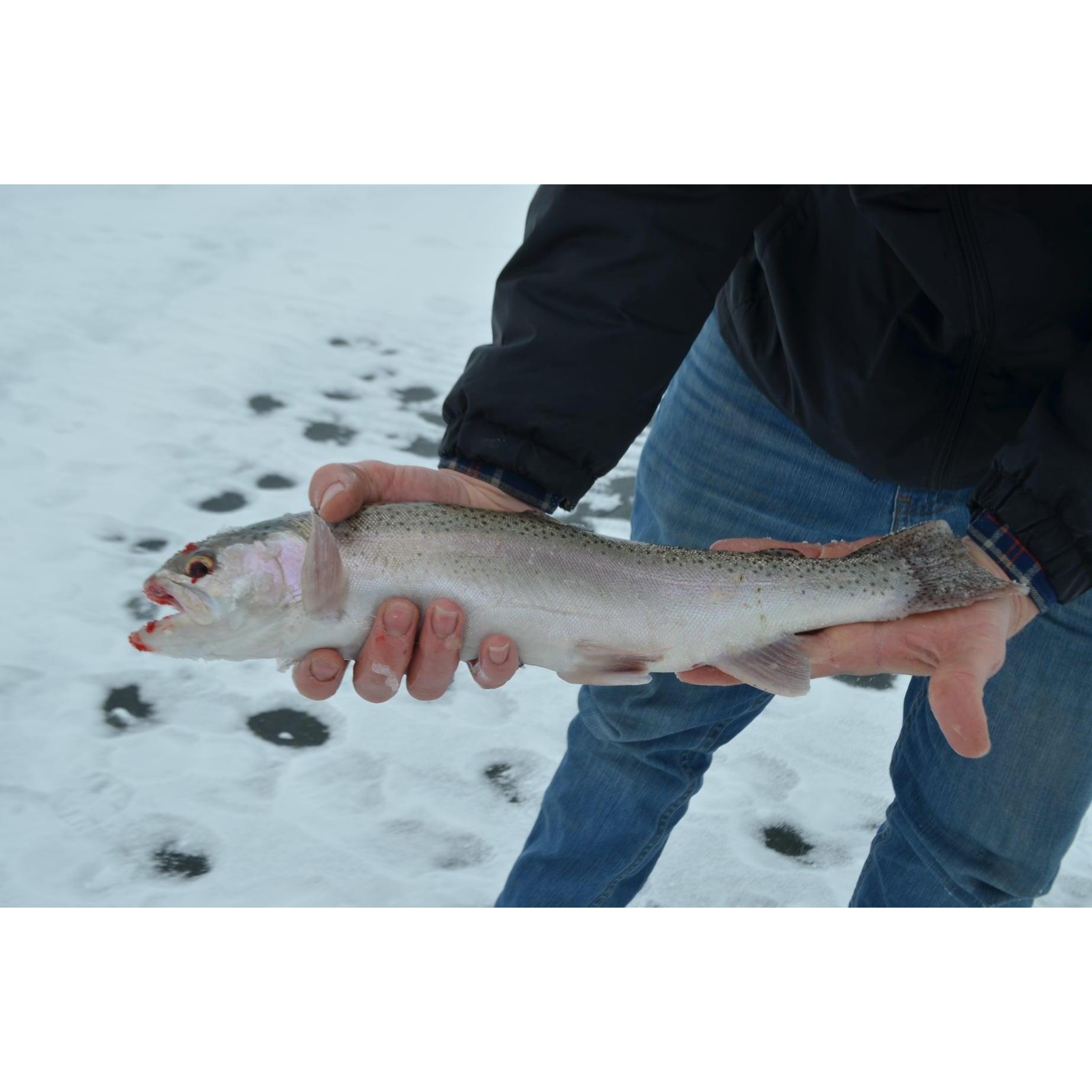 Saratoga Wy.