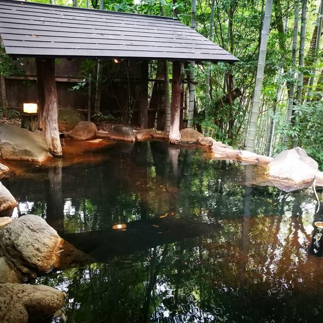 Day Pass to Hot Springs in Kurokawa, Japan