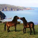 Exmoor National Park