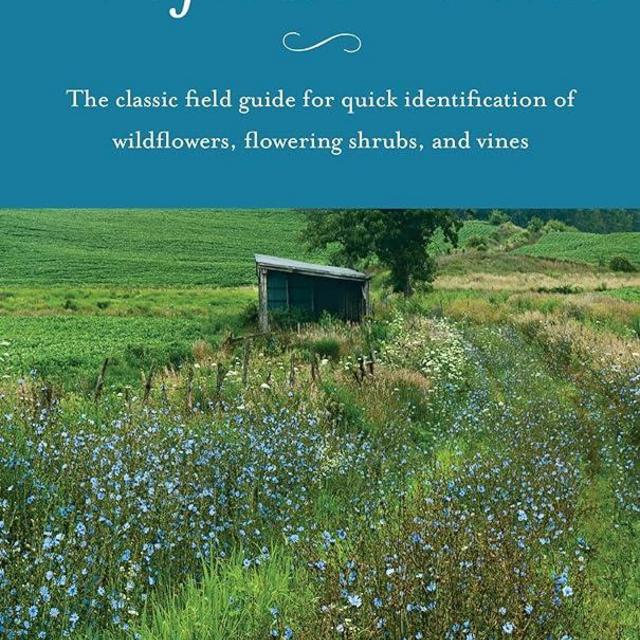 Newcomb's Wildflower Guide