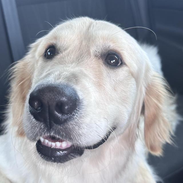 Crouton’s Chaos