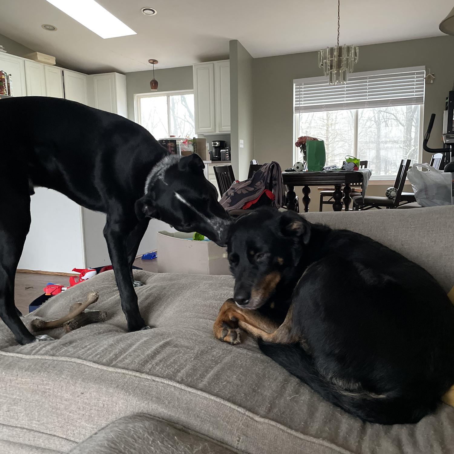 Jackson and Madison are up to their same old antics