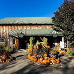 Beans & Greens Farm