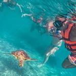 Visit Akumal and Tulum ruins and beaches