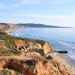 Torrey Pines State Reserve