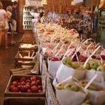 Erie Orchards & Cider Mill