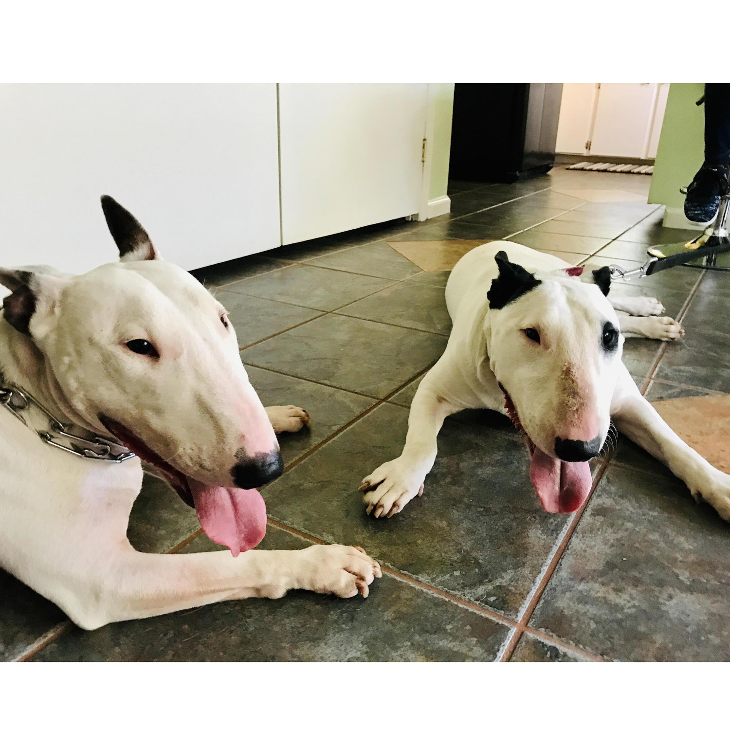 Lula and her Aunt Dolly (who is 3.5 years younger!)