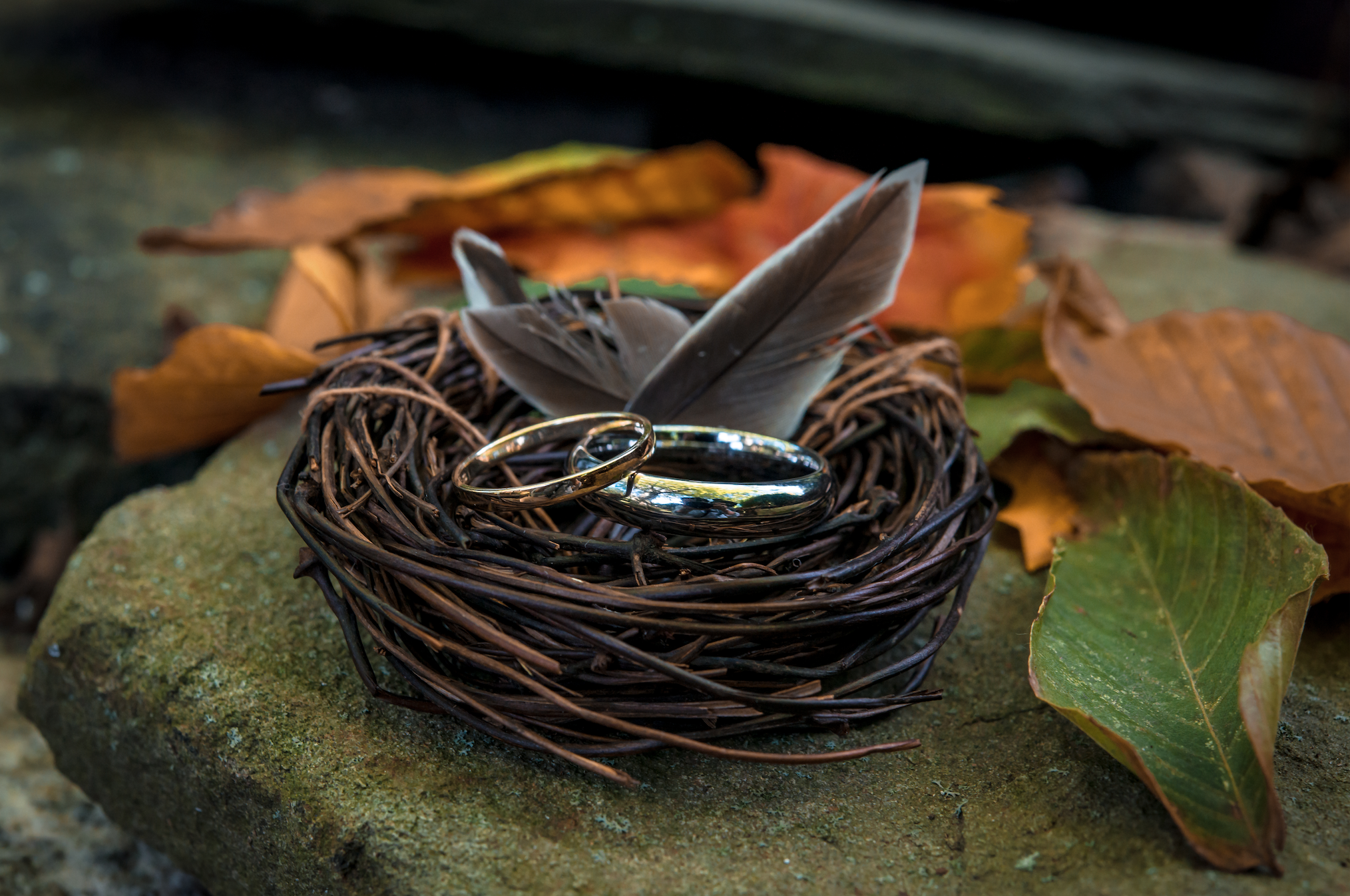 The Wedding Website of Osvin Leonel Yanes and Sarah Jane Potter