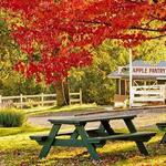 Apple Hill