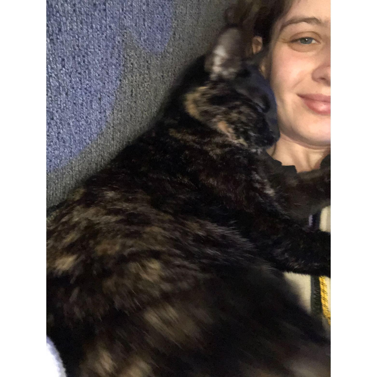 KIWI