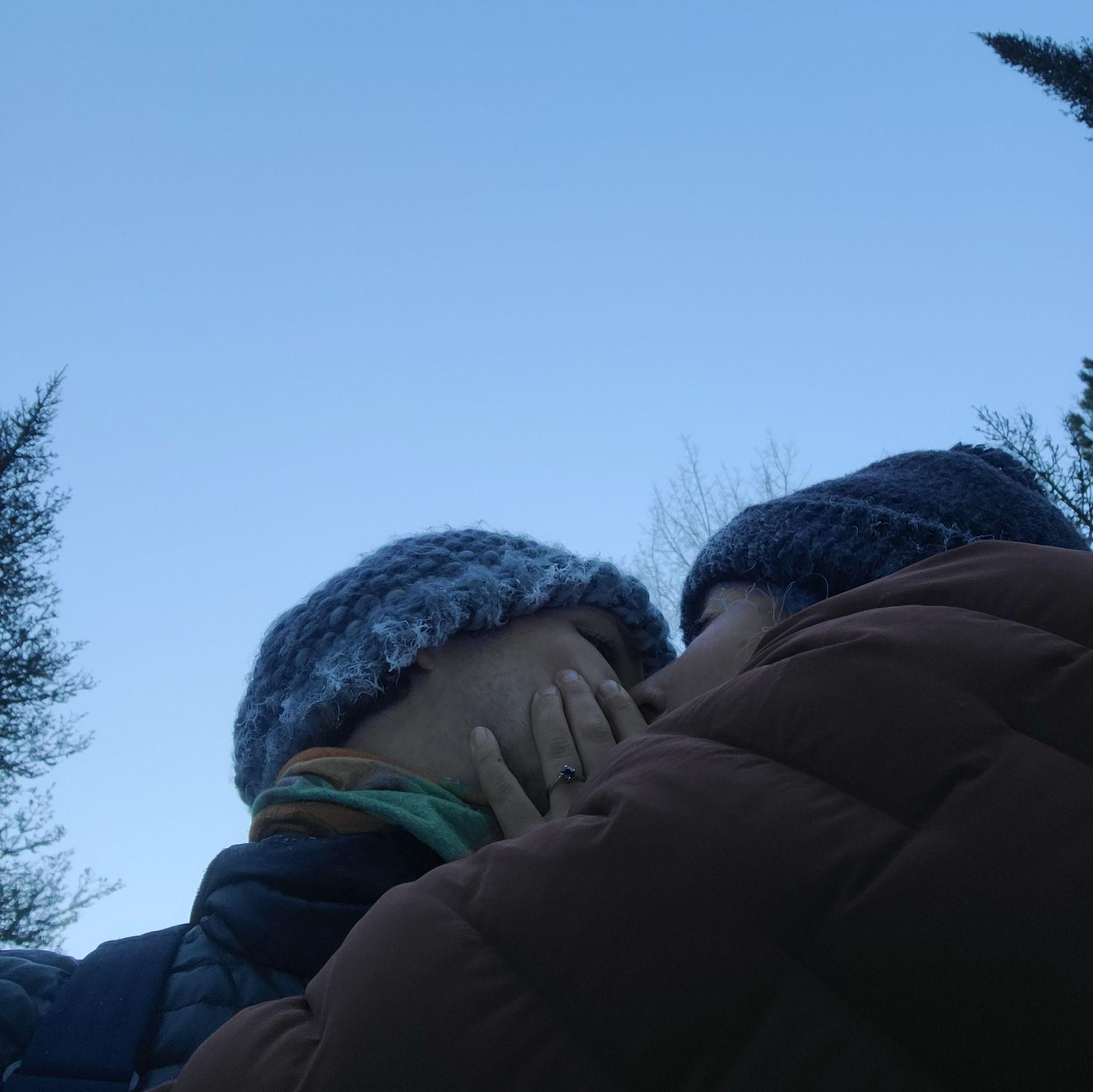 Getting engaged at George Washington Pines.