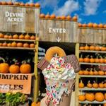 Devine Acres Farm