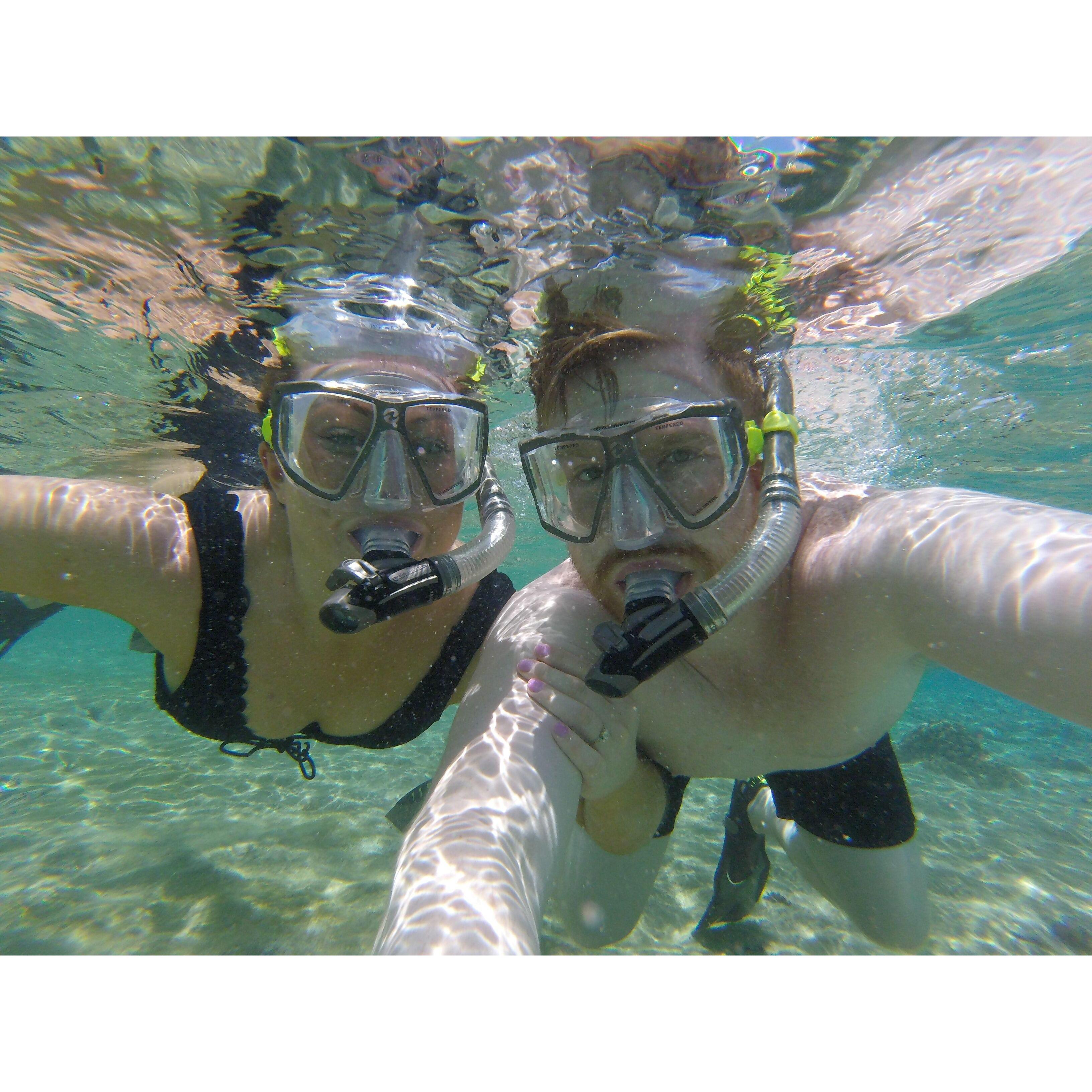 Snorkeling in Cozumel