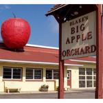 Blake's Big Apple