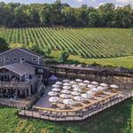 Bluemont Vineyard