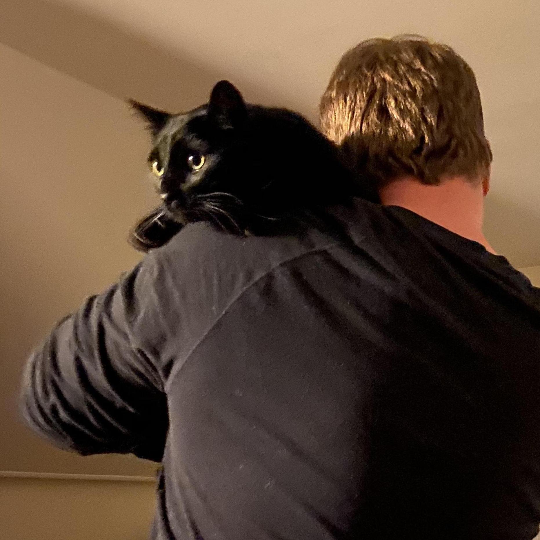 Our cat Otto aka Bubs/Bubsy/Otto Roboto. He enjoys lounging in Amazon boxes, listening to classical music and being carried around the house by his best friend Stephen.