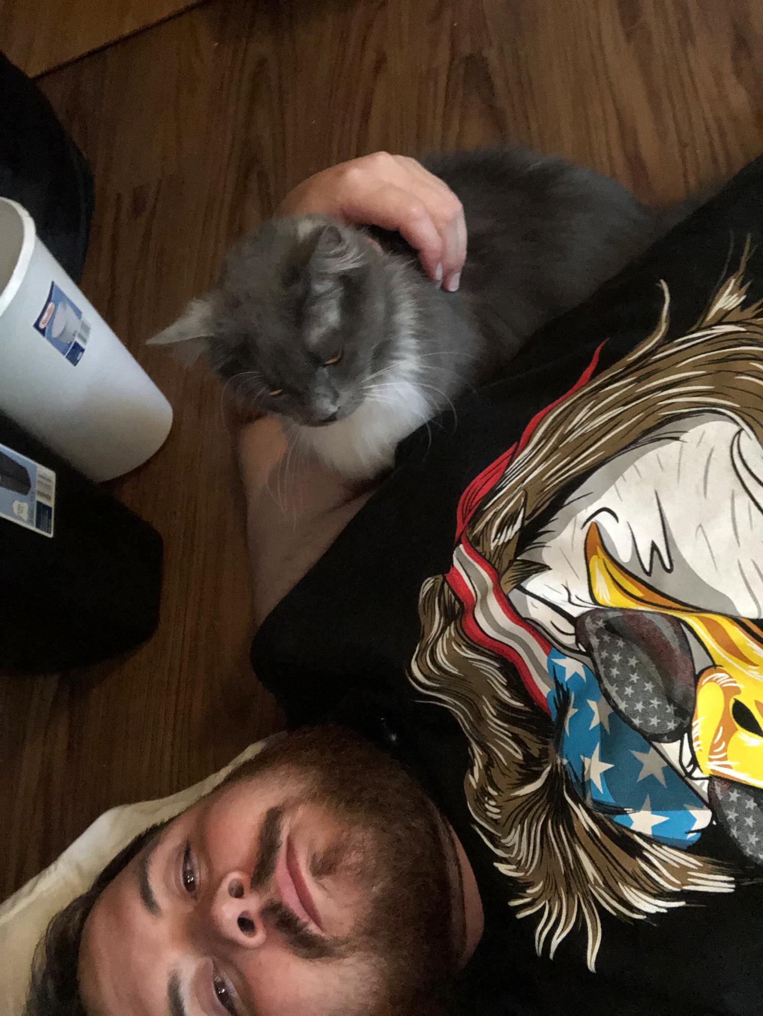 The groom and the cat he hates the most, Christian Grey
