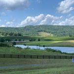 Trump Winery Tasting Room- for the Winos!