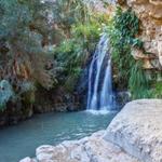 Ein Gedi Reserve