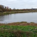 Baskett Slough National Wildlife Refuge