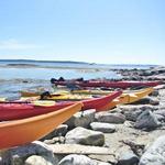 Tidal Transit Kayak Rentals