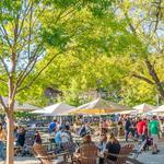 The Olde Mecklenburg Brewery & Biergarten