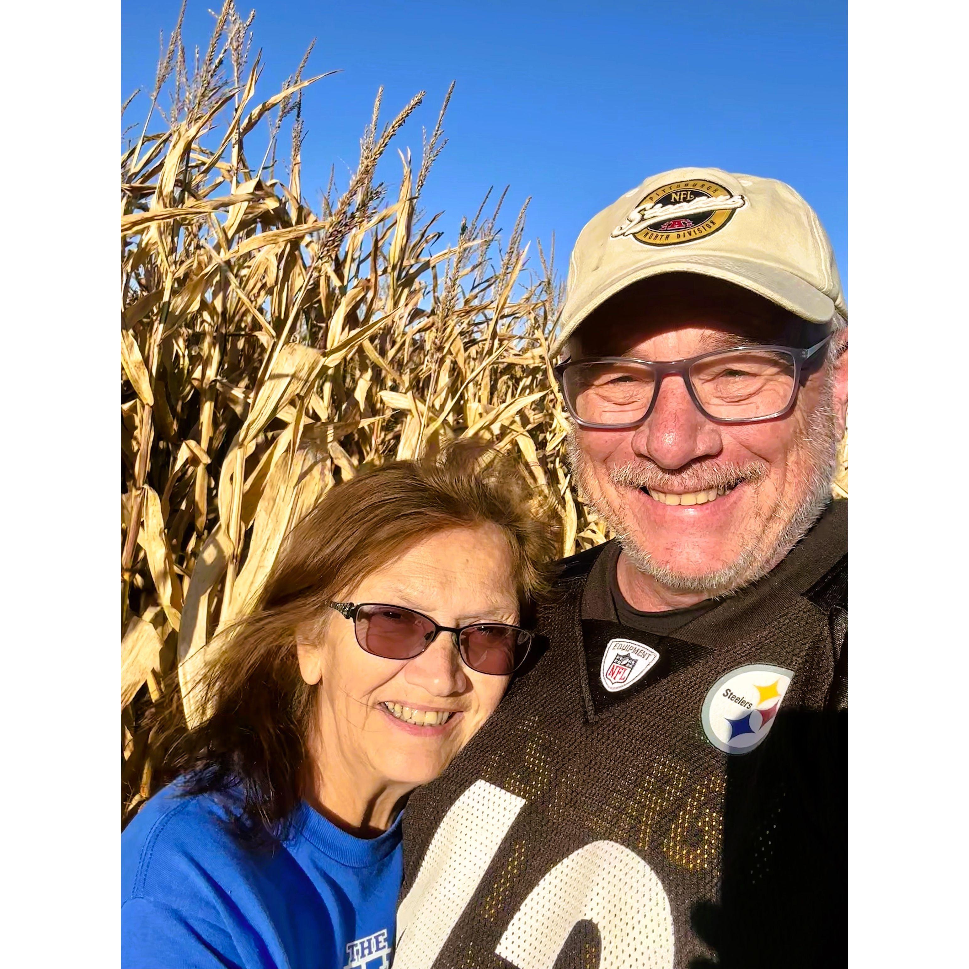 Lost in a Corn Maze