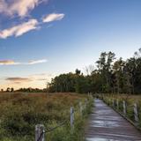 Horicon Marsh