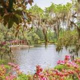 Airlie Gardens