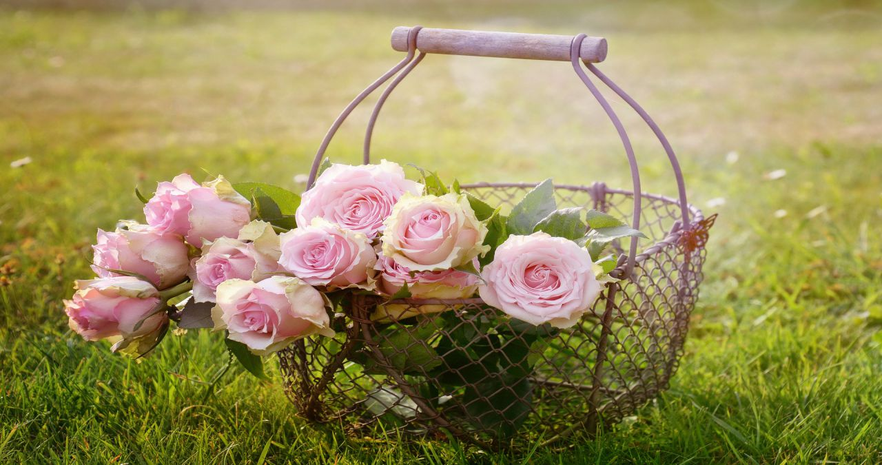 The Wedding Website of Ashley Smith and Jesse Pressley