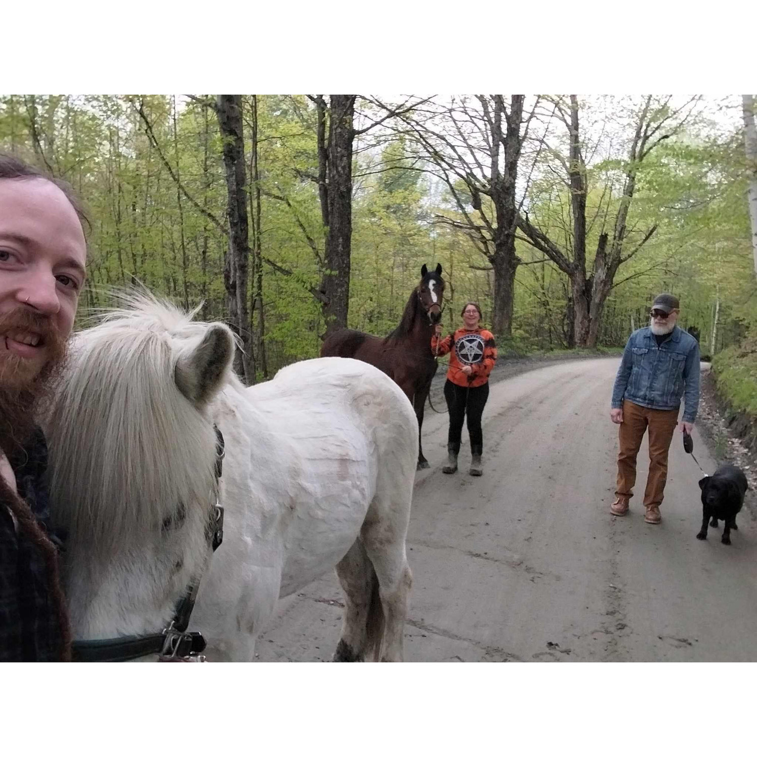 Family walk down our road with Prins, Ember, Mike, and Brandy