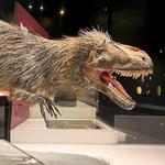 Center of Science and Industry (COSI)