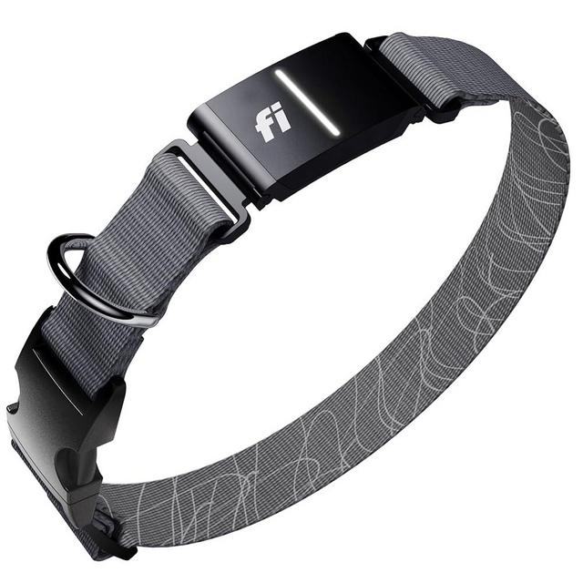 Fi New Series 3+ Smart Dog Tracker Collar [12 Month Membership Included] GPS Tracker for Dogs with Health & Behavior Monitoring, Escape Alerts, Waterproof, LED, Apple Watch Compatible (Gray, Small)