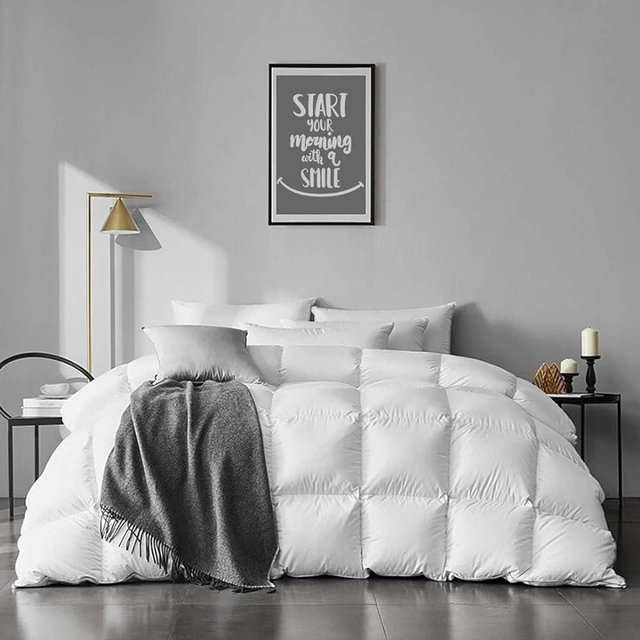 APSMILE Oversized King Goose Feather Down Comforter - Ultra Soft All Seasons 100% Organic Cotton Feather Down Duvet Insert Medium Warm Quilted Bed Comforter with Corner Tabs (120x98, Ivory White)